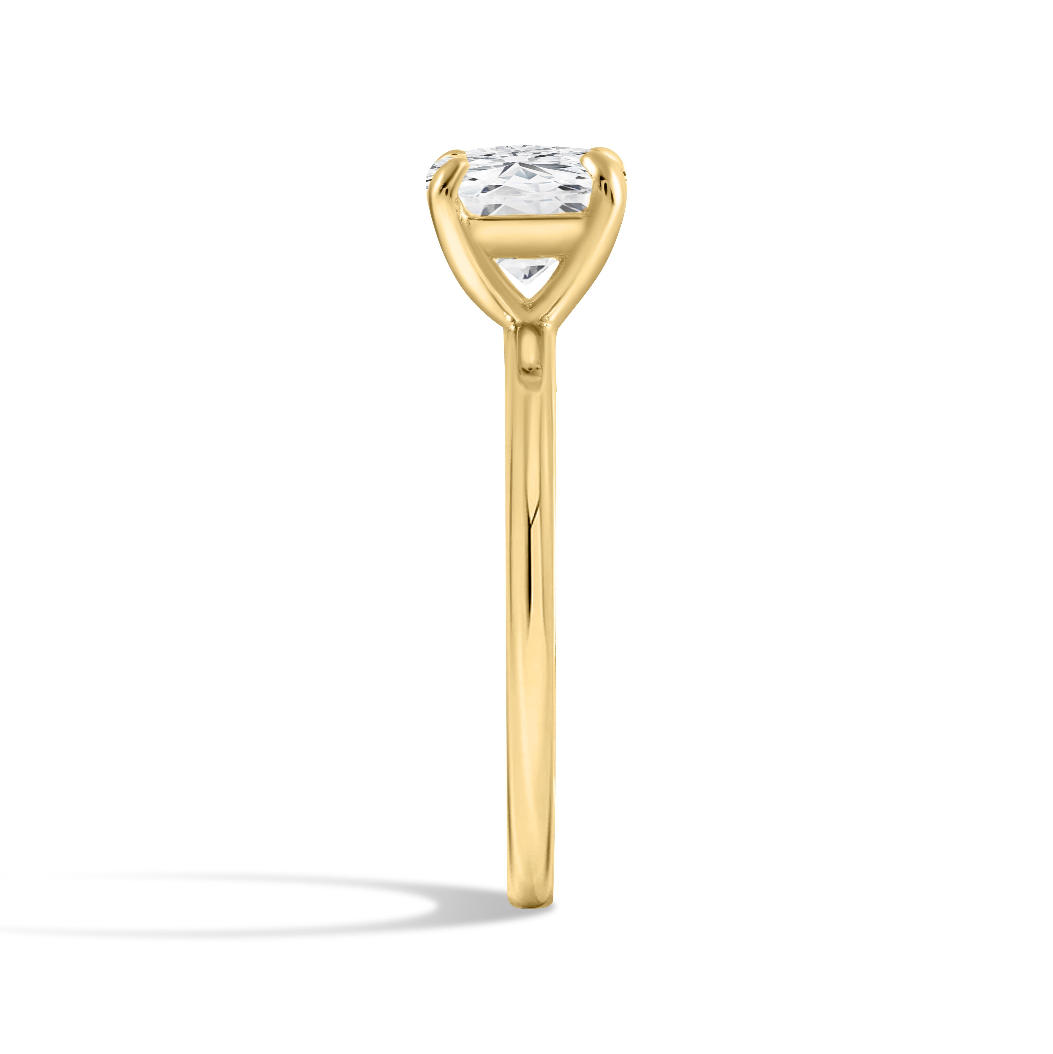 The Aria Ring