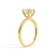 The Aria Ring