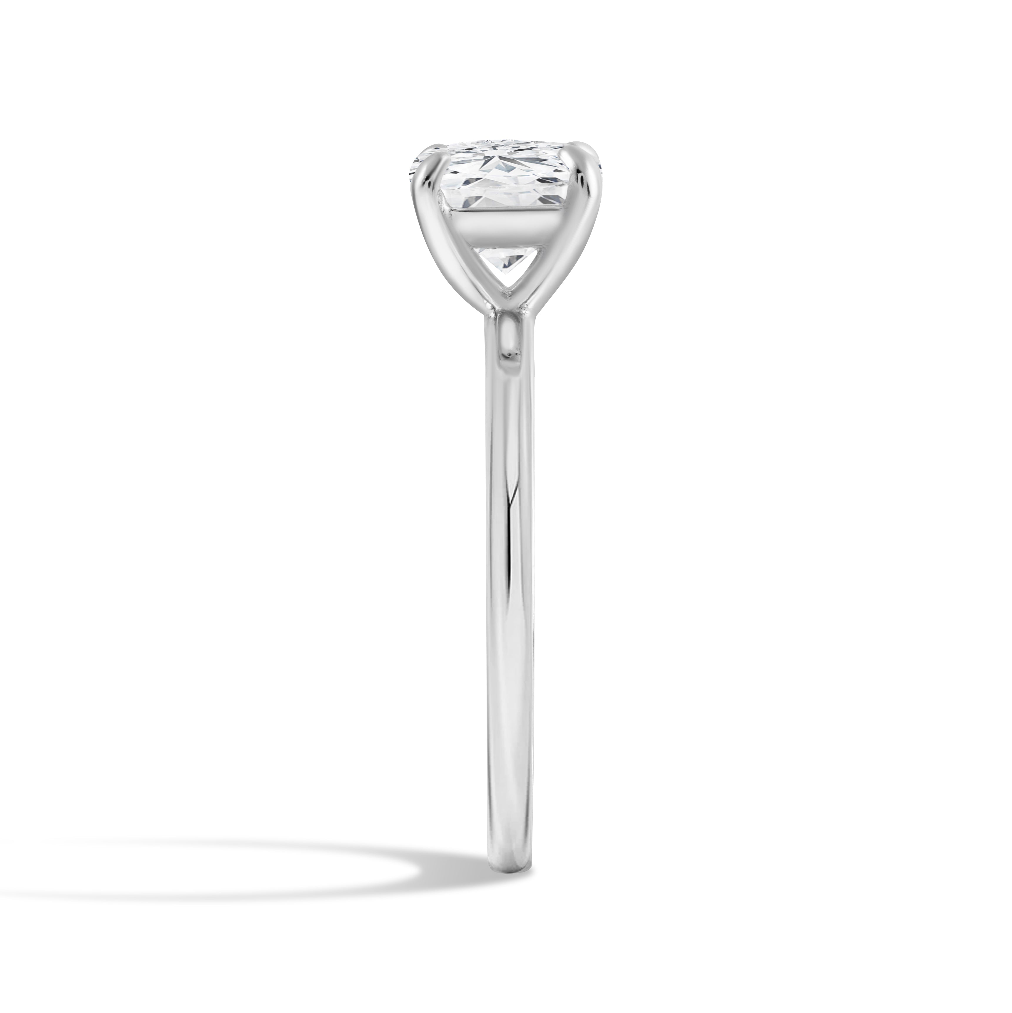 The Aria Ring